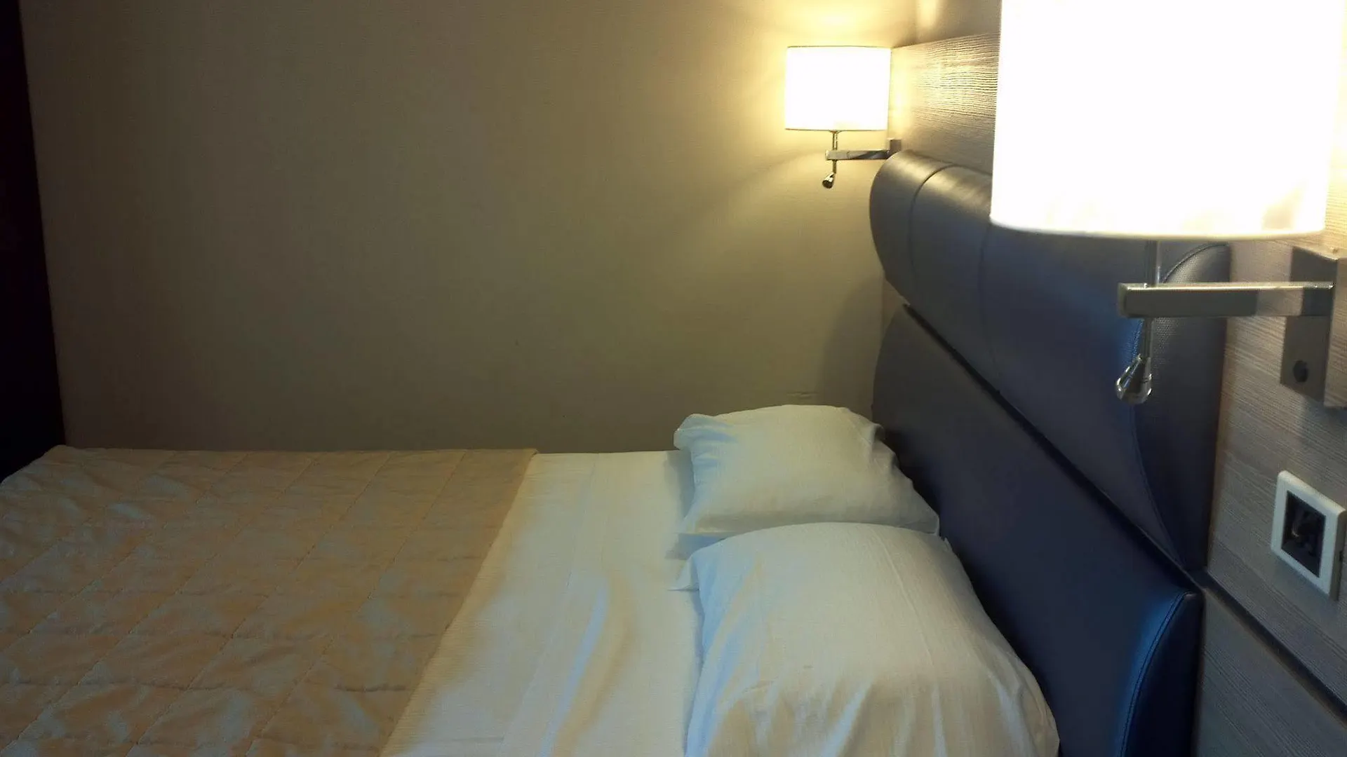 Hotel Galvani Torri Del Benaco 4*,